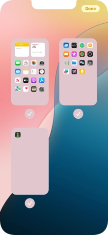 Press the fields below the required home screen pages to select or deselect them.