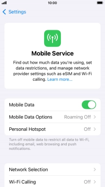 Press Mobile Data Options.